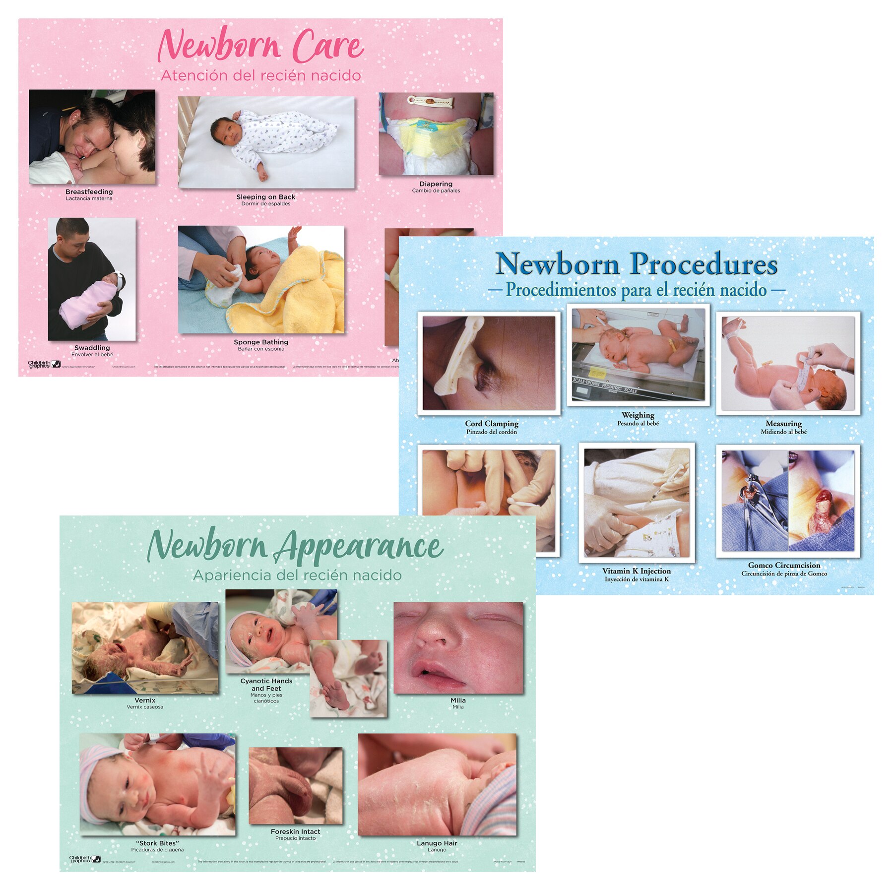 newborn chart set 3 newborn chart