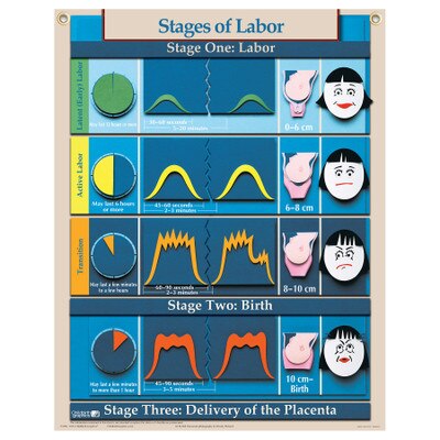 Signs of Labor Tear Pad, English