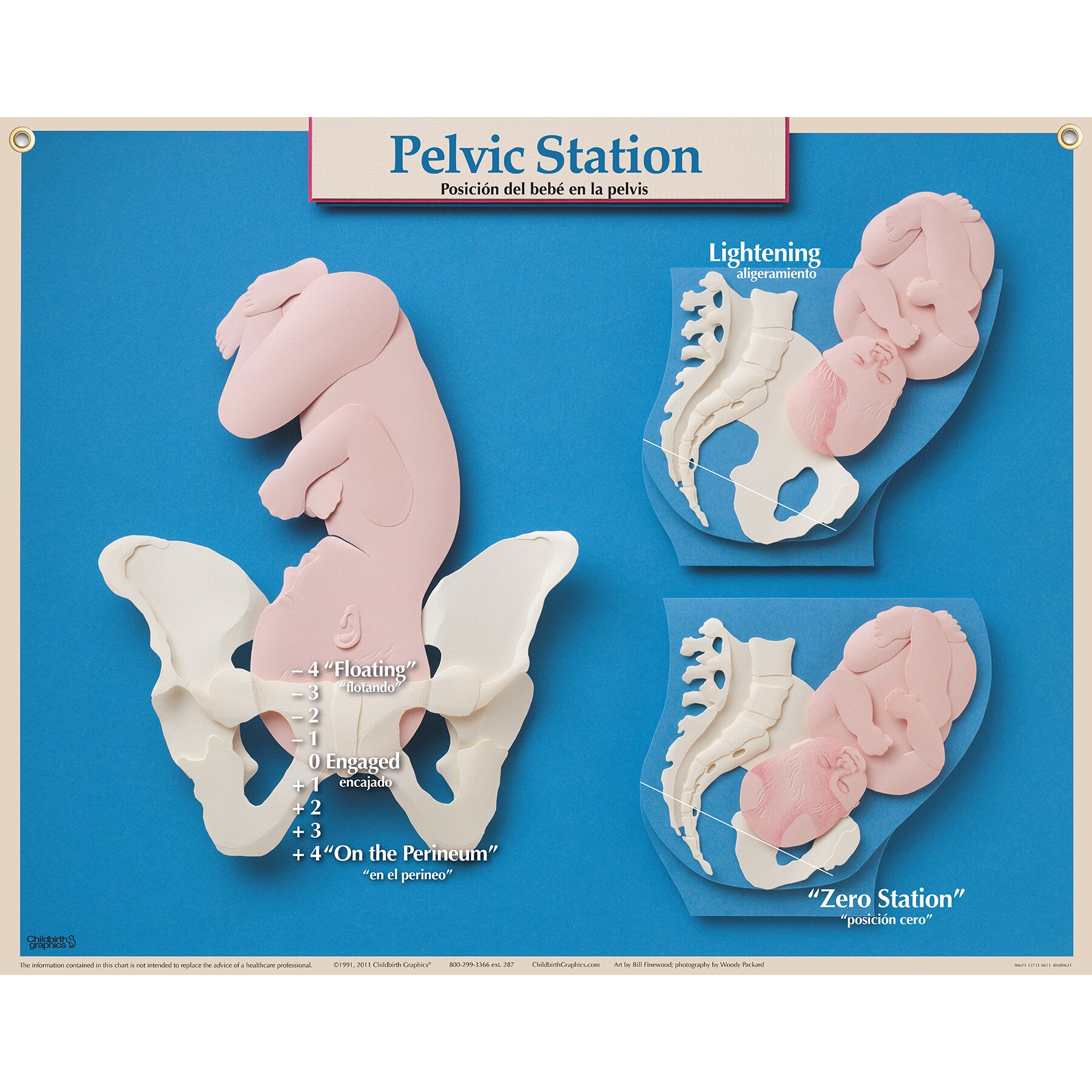 Dilation Effacement And Station Charts News Current Station In The Word