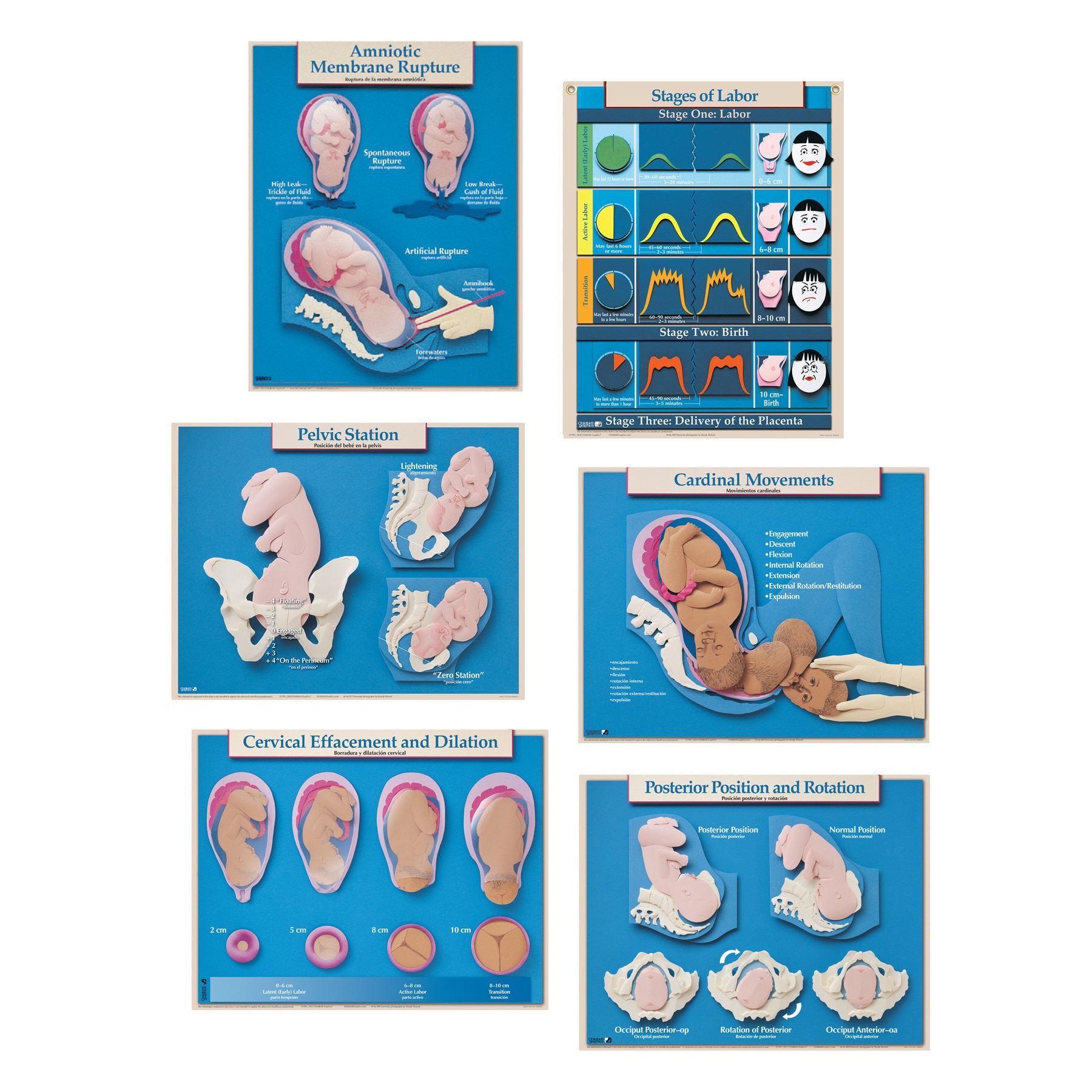 Labor And Delivery Charting