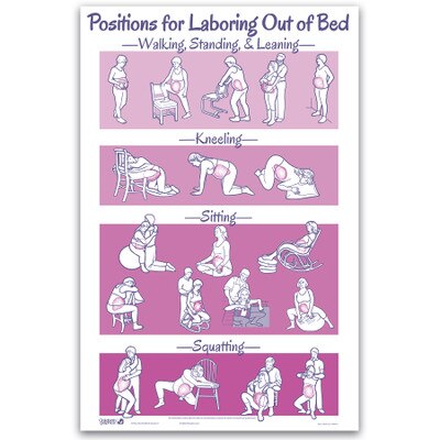 Positions for Laboring Out of Bed Chart from Childbirth Graphics with illustrations of labor comfort positions, 90673