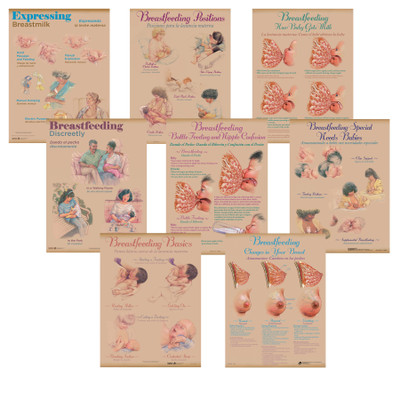 Breastfeeding Chart Set of eight charts for breastfeeding education and teaching lactation from Childbirth Graphics, 90809