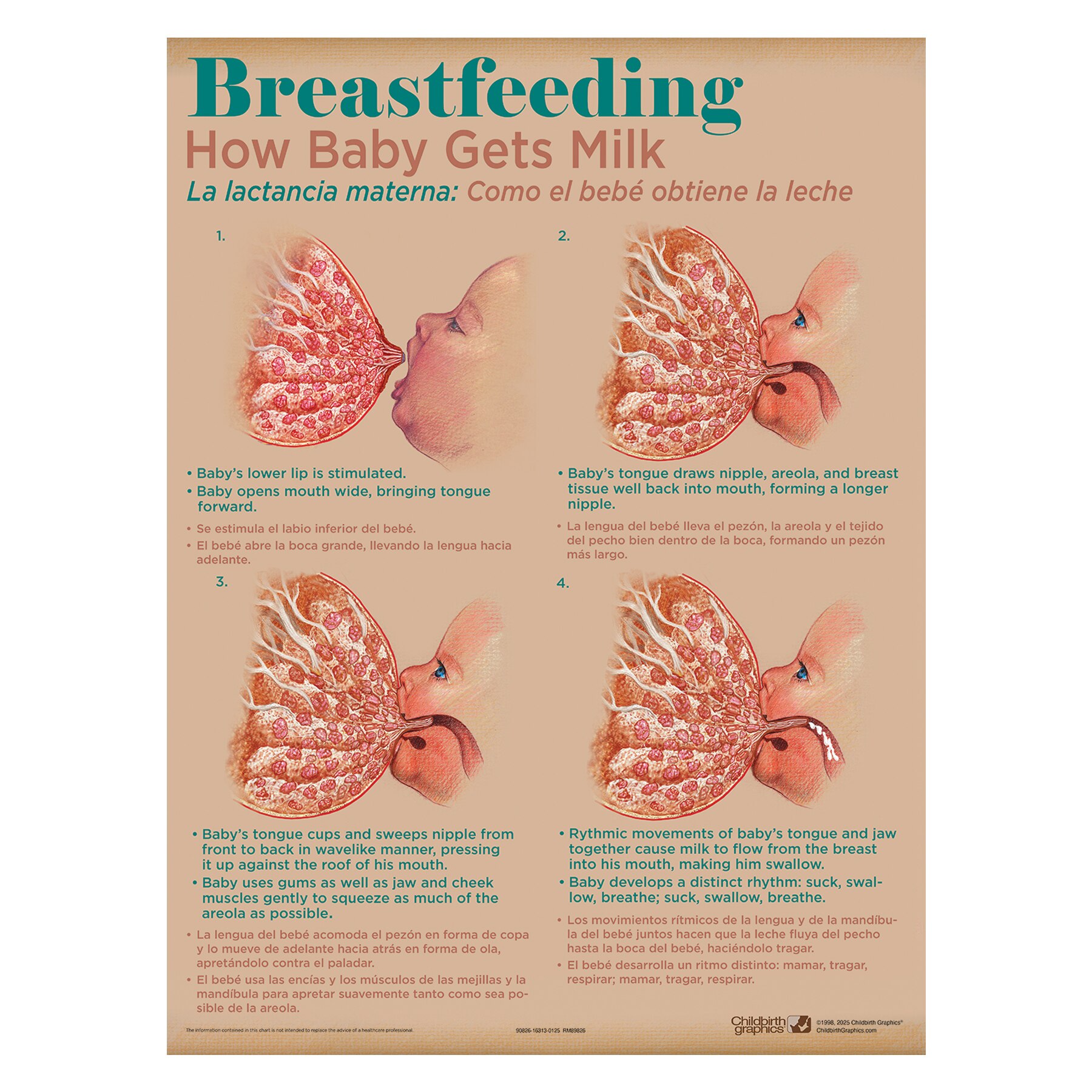 Breastfeeding Education Charts, Set Of 8 | Childbirth Graphics