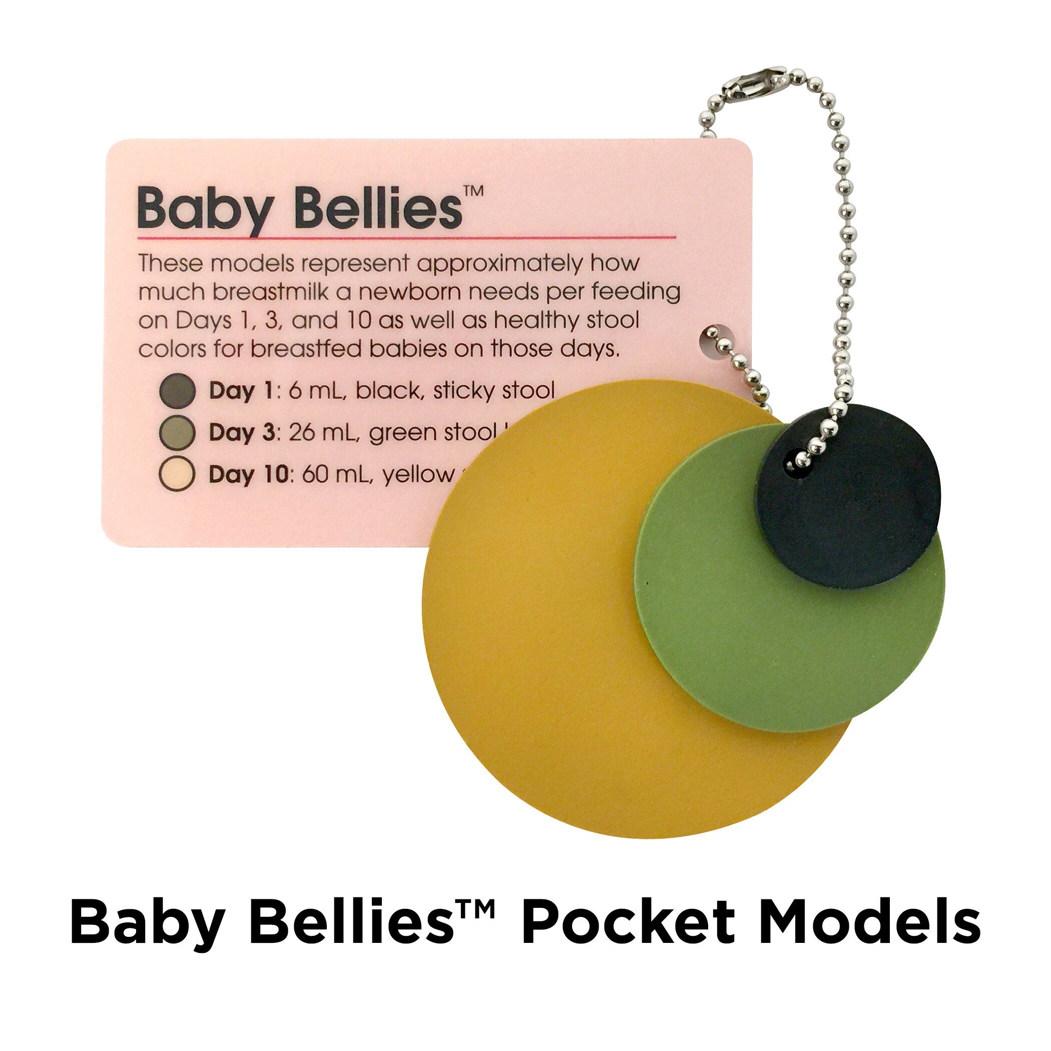 Baby Bellies Pocket Models, key card and newborn stomach size models on chain, Childbirth Graphics, 53526