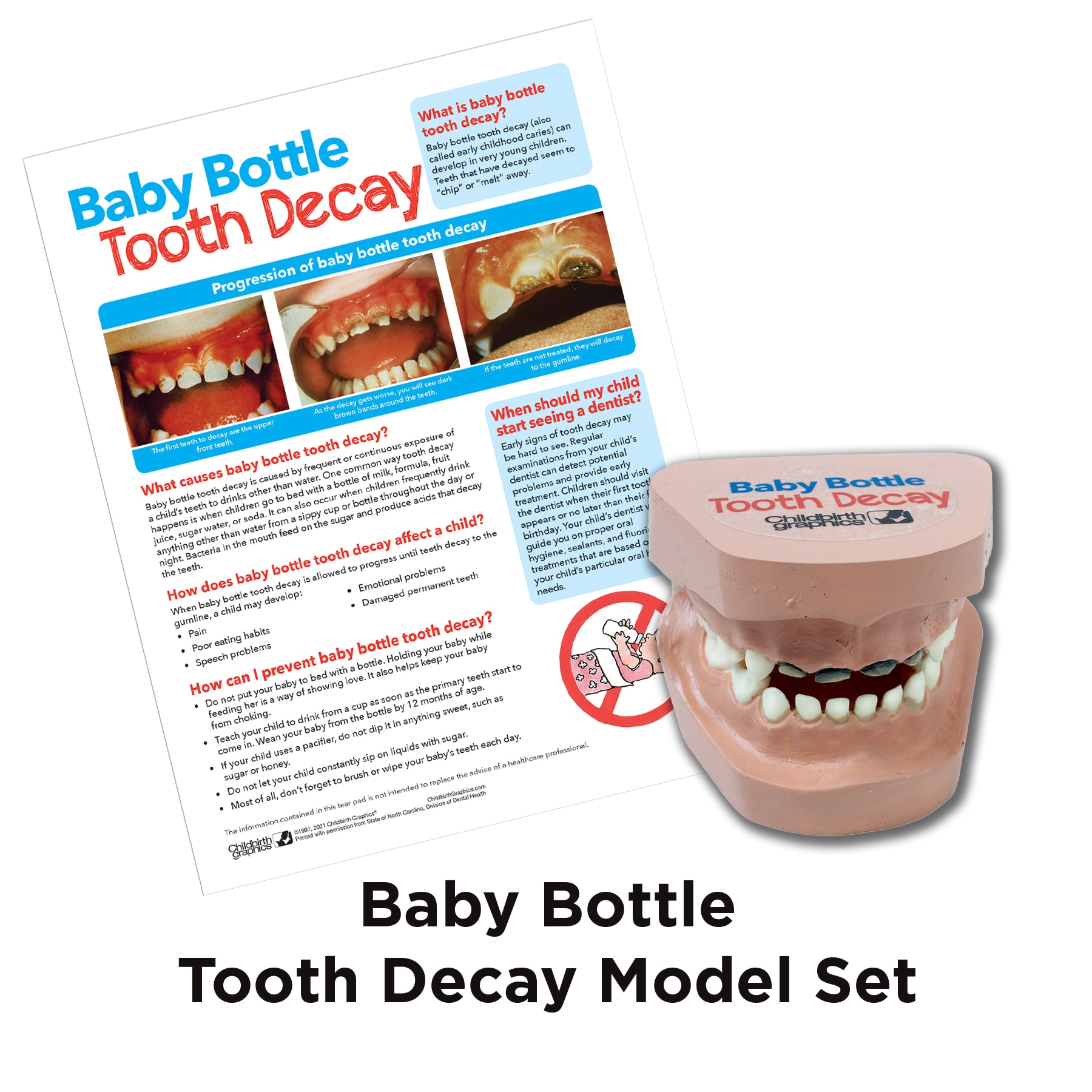 Baby Bottle Tooth Decay Model with accompanying tear pad, Childbirth Graphics, 79865