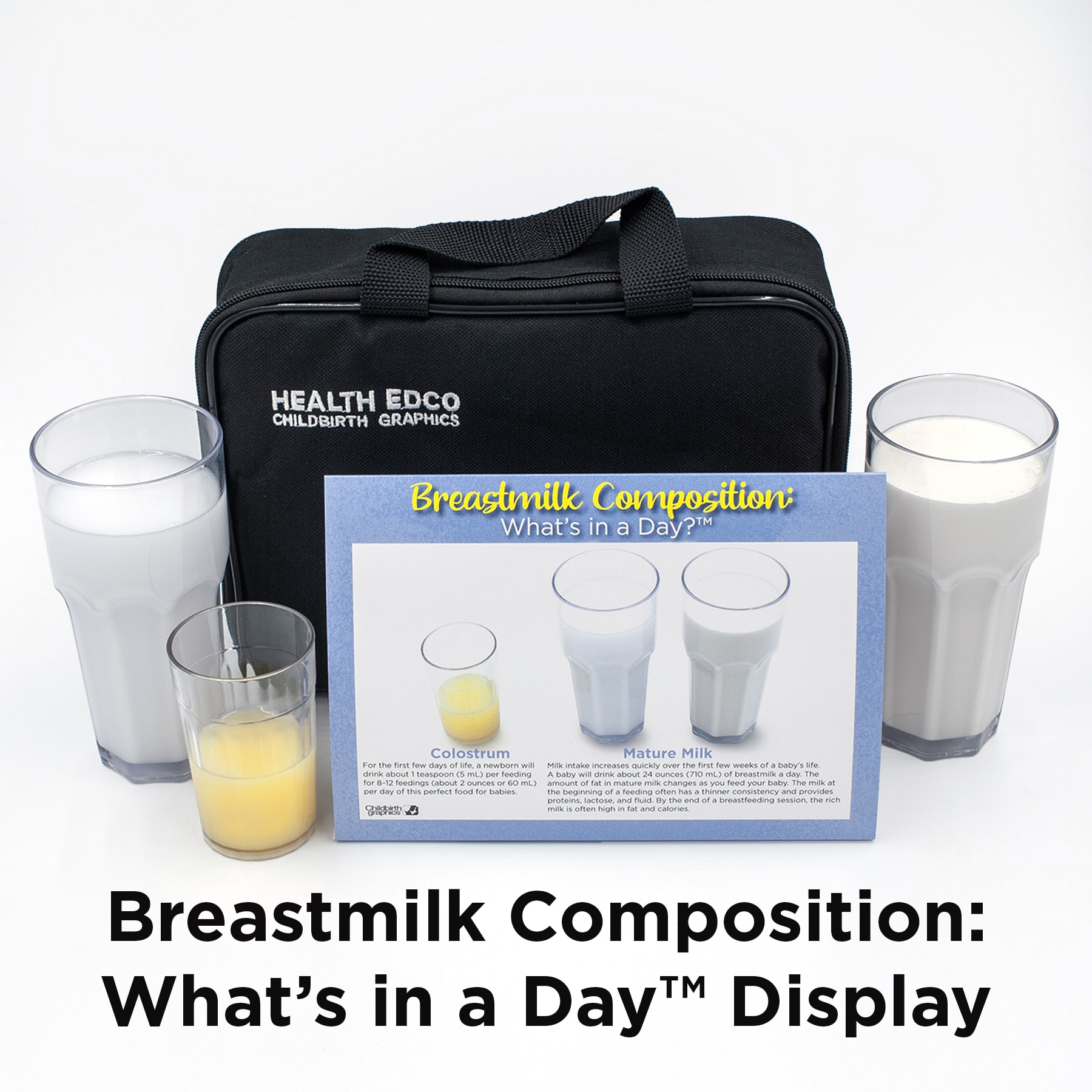 Breastmilk Composition: What's in a Day? Display, breastfeeding teaching display with milk models, Childbirth Graphics, 78978
