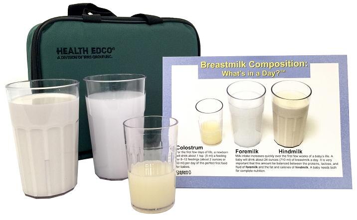 Breastmilk Composition educational display for breastfeeding from Childbirth Graphics