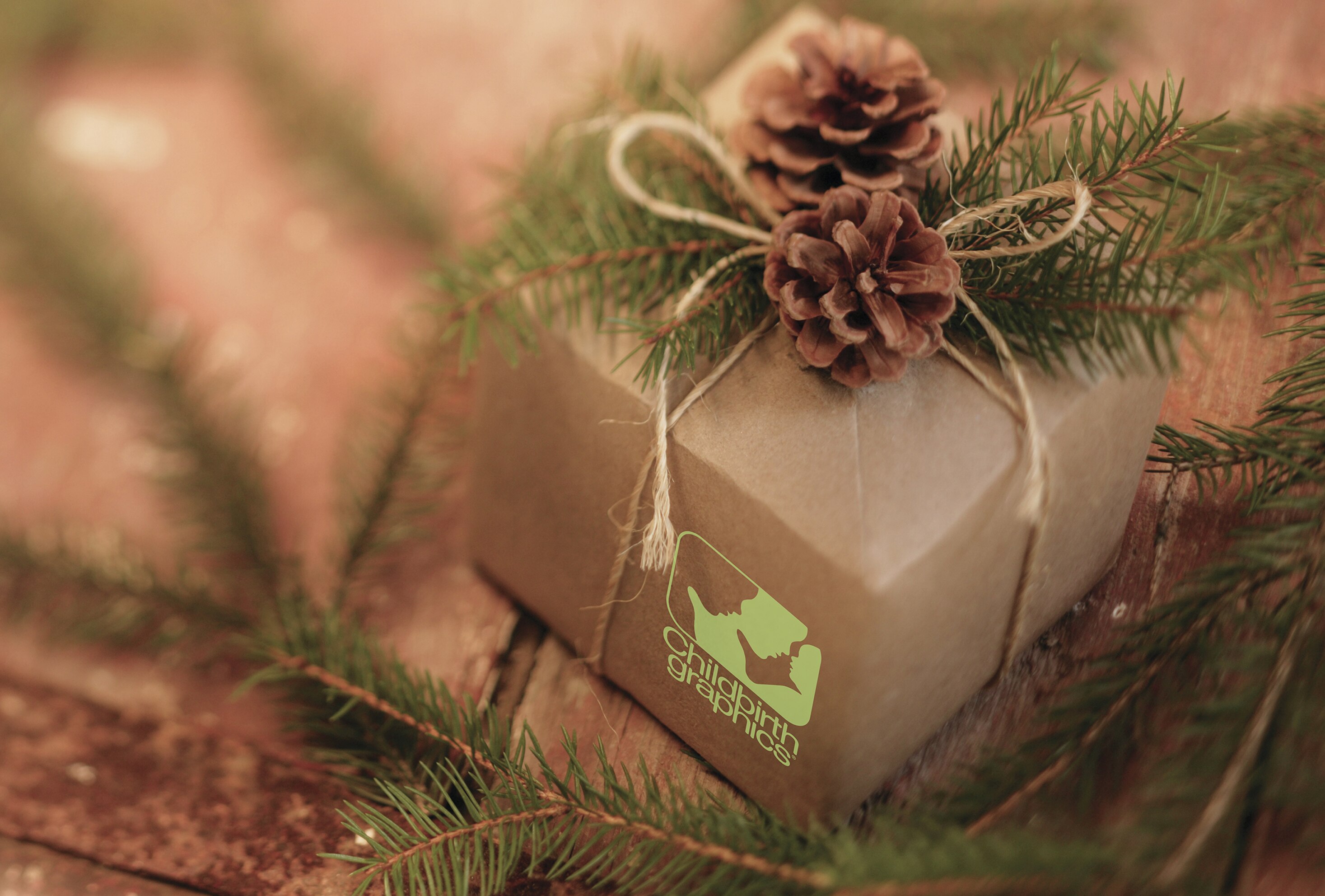 Holiday gift for the childbirth educator from Childbirth Graphics