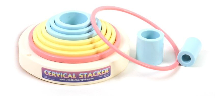 Cervical Stacker™ Model for childbirth education from Childbirth Graphics