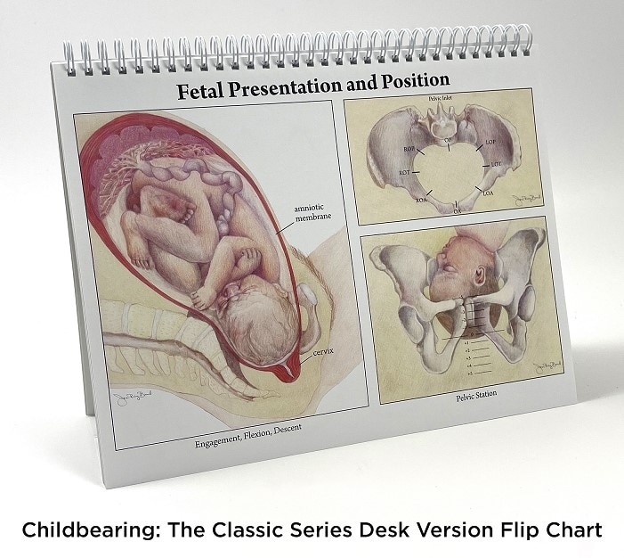 Childbearing: The Classic Series Desk Version from Childbirth Graphics, 50702