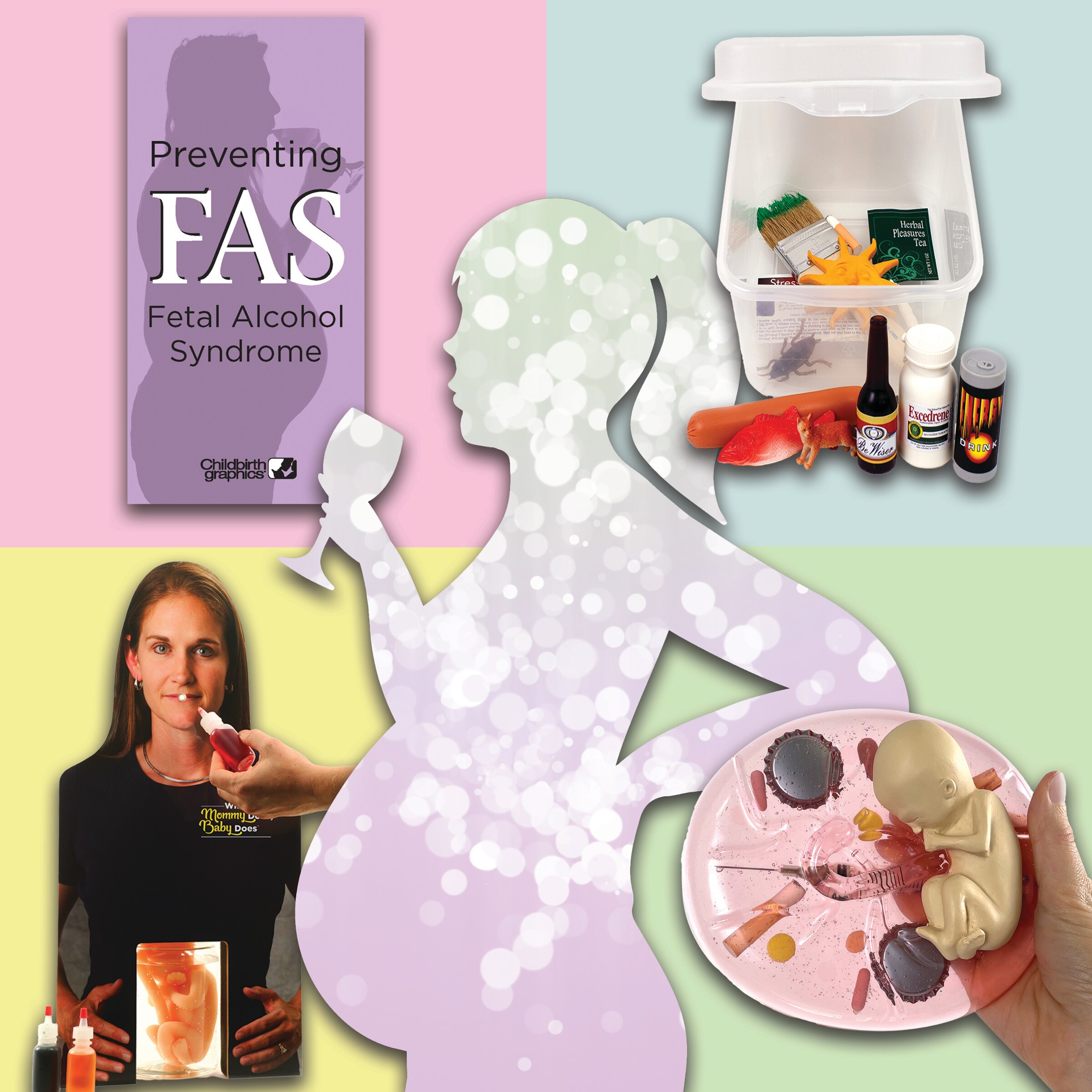 Childbirth Graphics pregnancy hazards educational materials and models