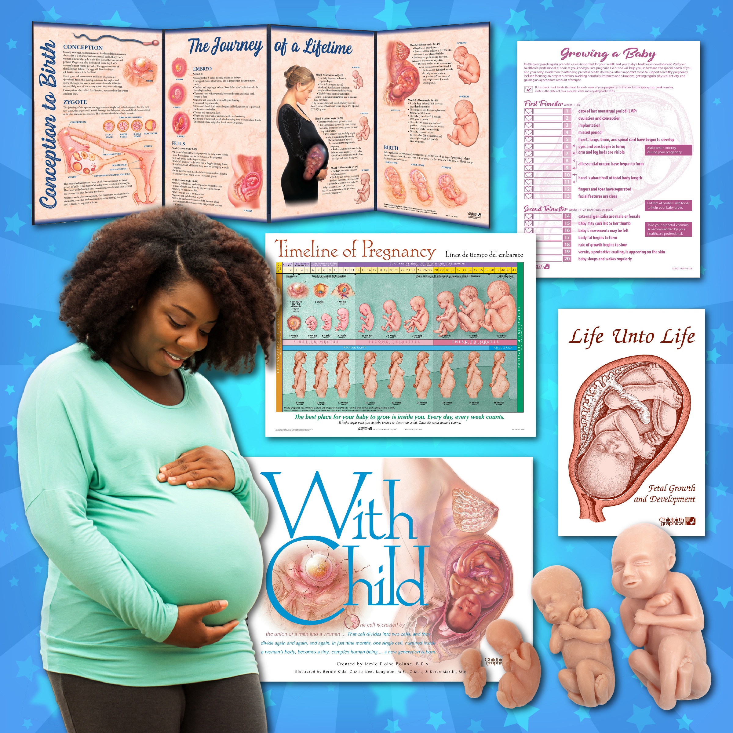 Childbirth Graphics pregnancy education materials and models focusing on teaching expectant parents about fetal development