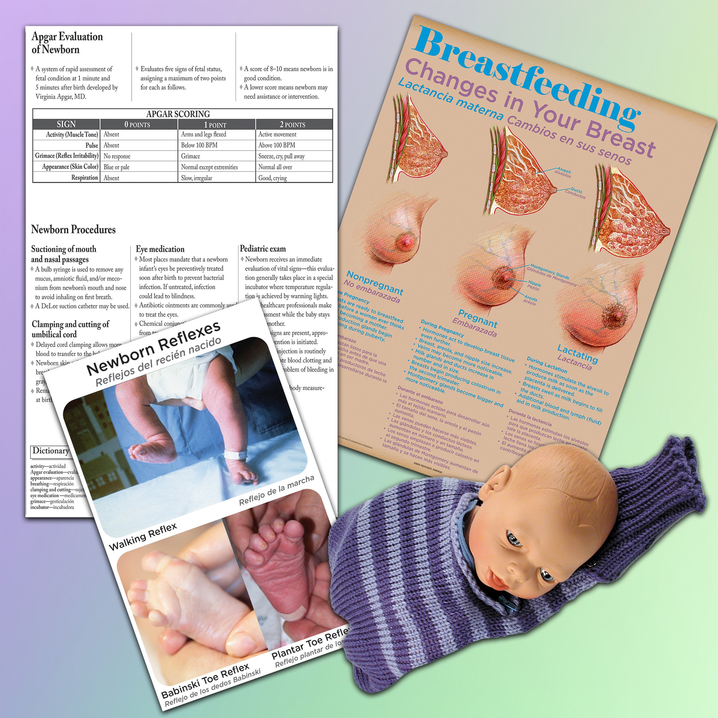Childbirth Graphics products featuring childbirth education materials and models with procedures named for historical figures