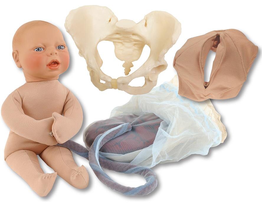 Childbirth Model Set with Beige Fetal Model