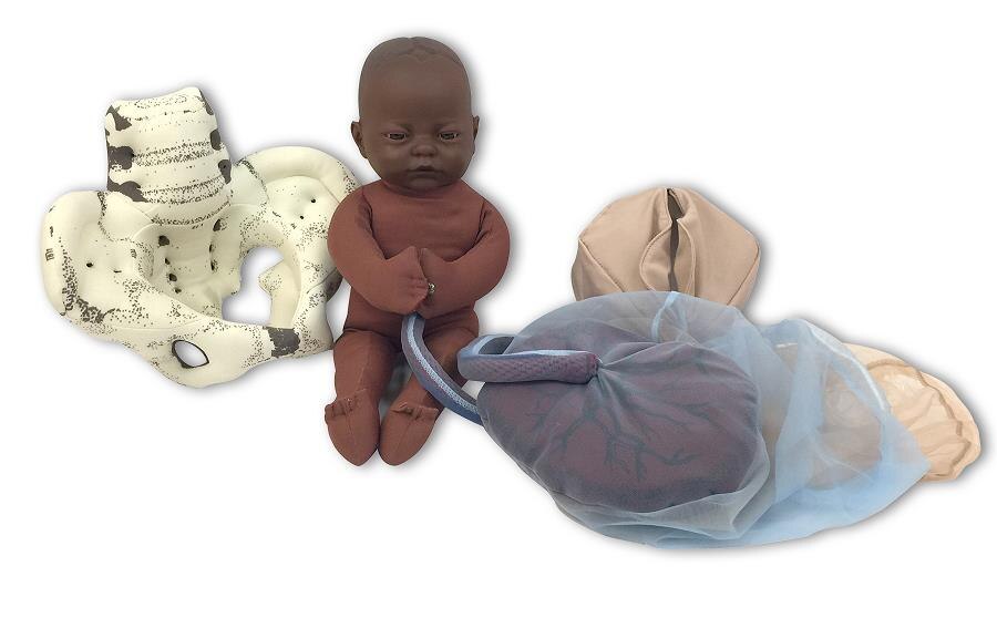 Cloth Pelvic Model Childbirth Education Model Set with Dark Brown Fetal Model