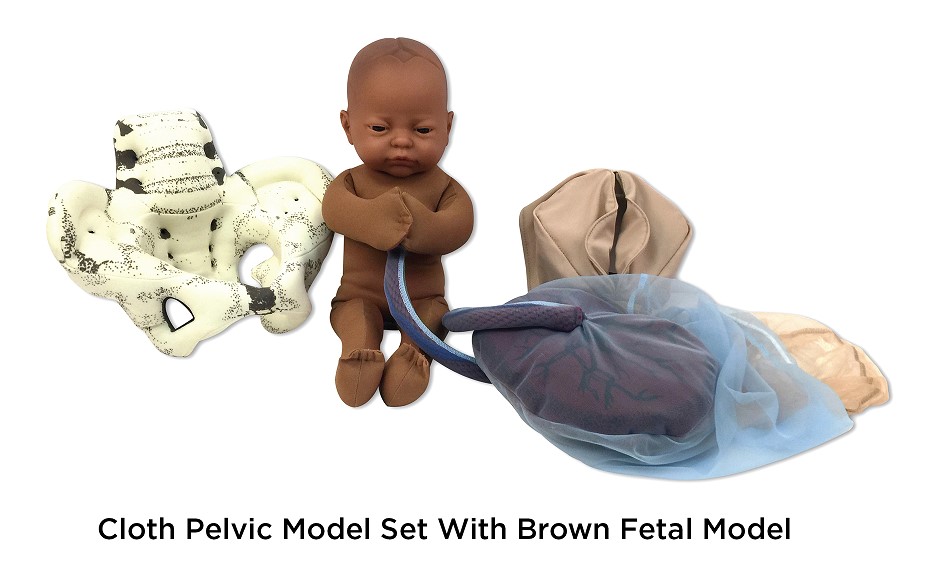 Cloth Pelvic Model Set With Brown Fetal Model for childbirth education from Childbirth Graphics, 78018