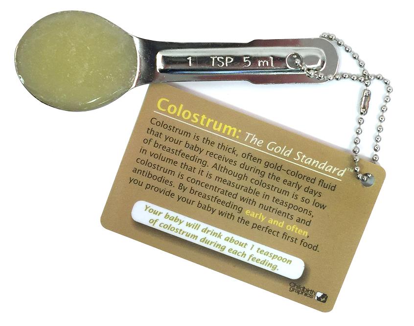 Colostrum: The Gold Standard Display for breastfeeding education from Childbirth Graphics