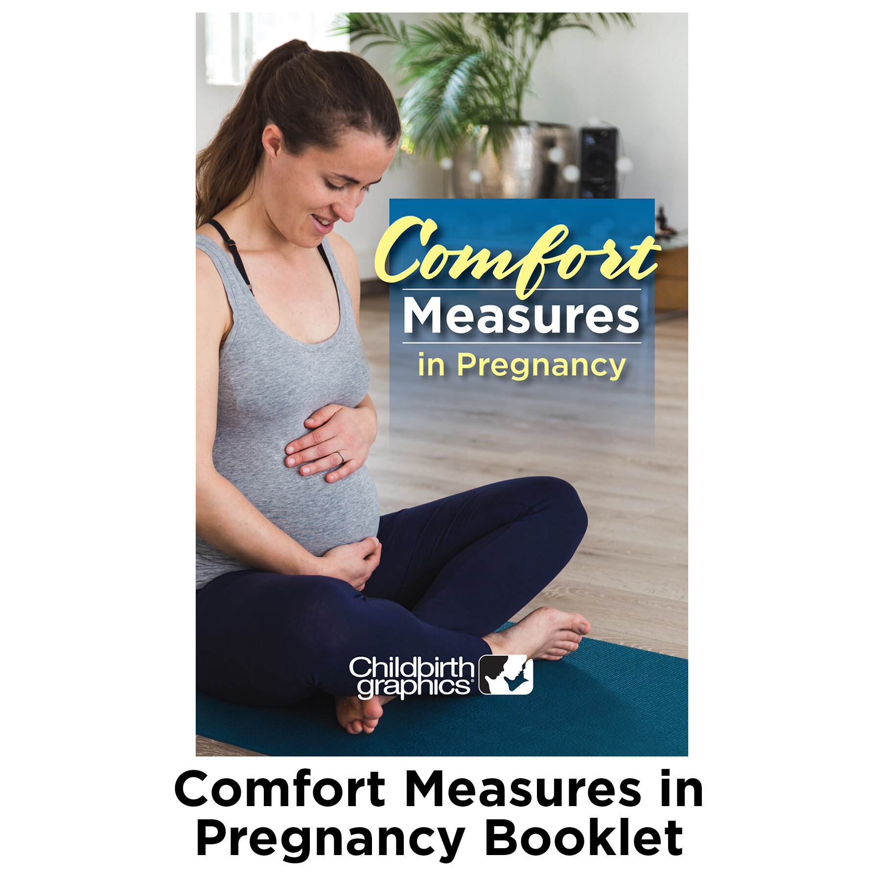 Comfort Measures in Pregnancy Booklet for childbirth education from Childbirth Graphics, 38627