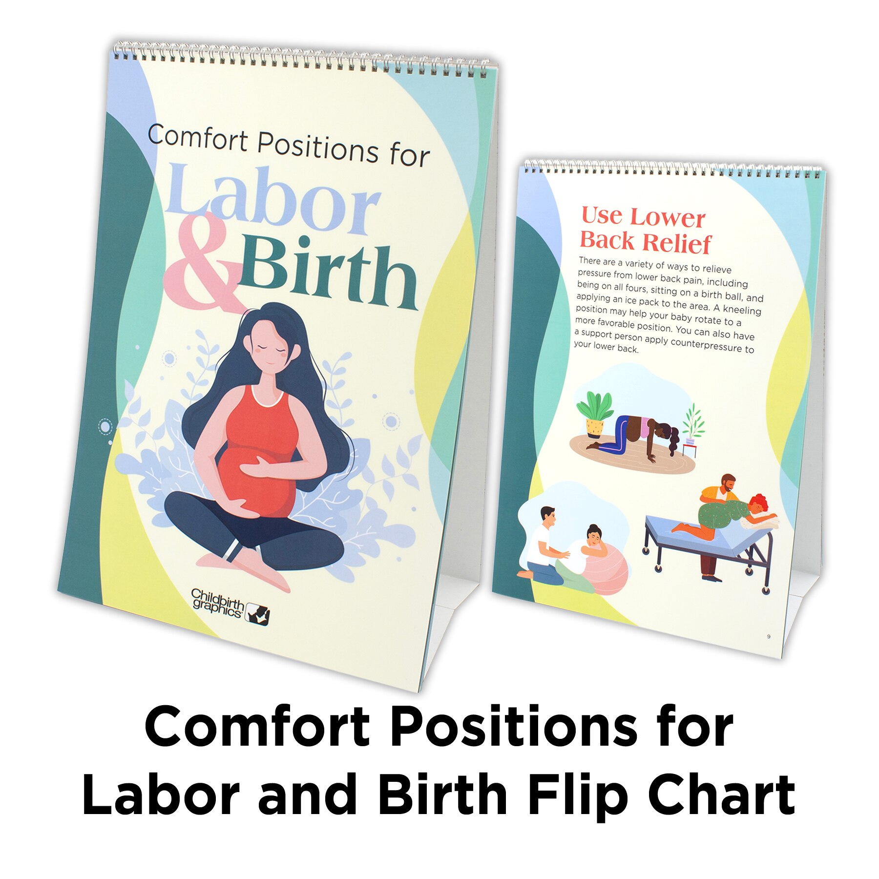 Comfort Positions for Labor & Birth Flip Chart, childbirth education charts with illustrations, Childbirth Graphics, 43324