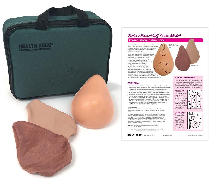 Deluxe Breast Self-Exam Model for breast health education from Health Edco