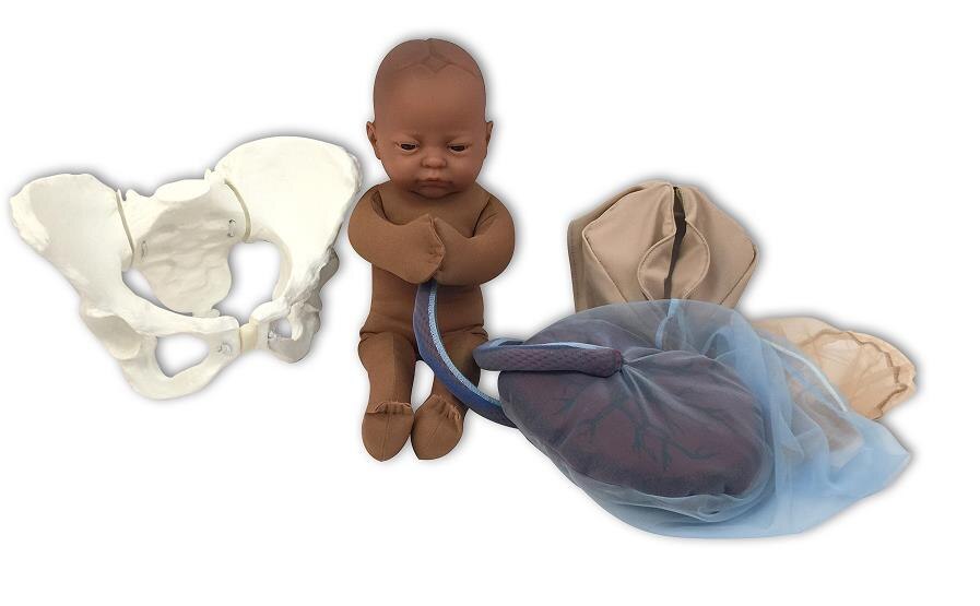 Deluxe Flexible Pelvis Childbirth Education Model Set with Brown Fetal Model