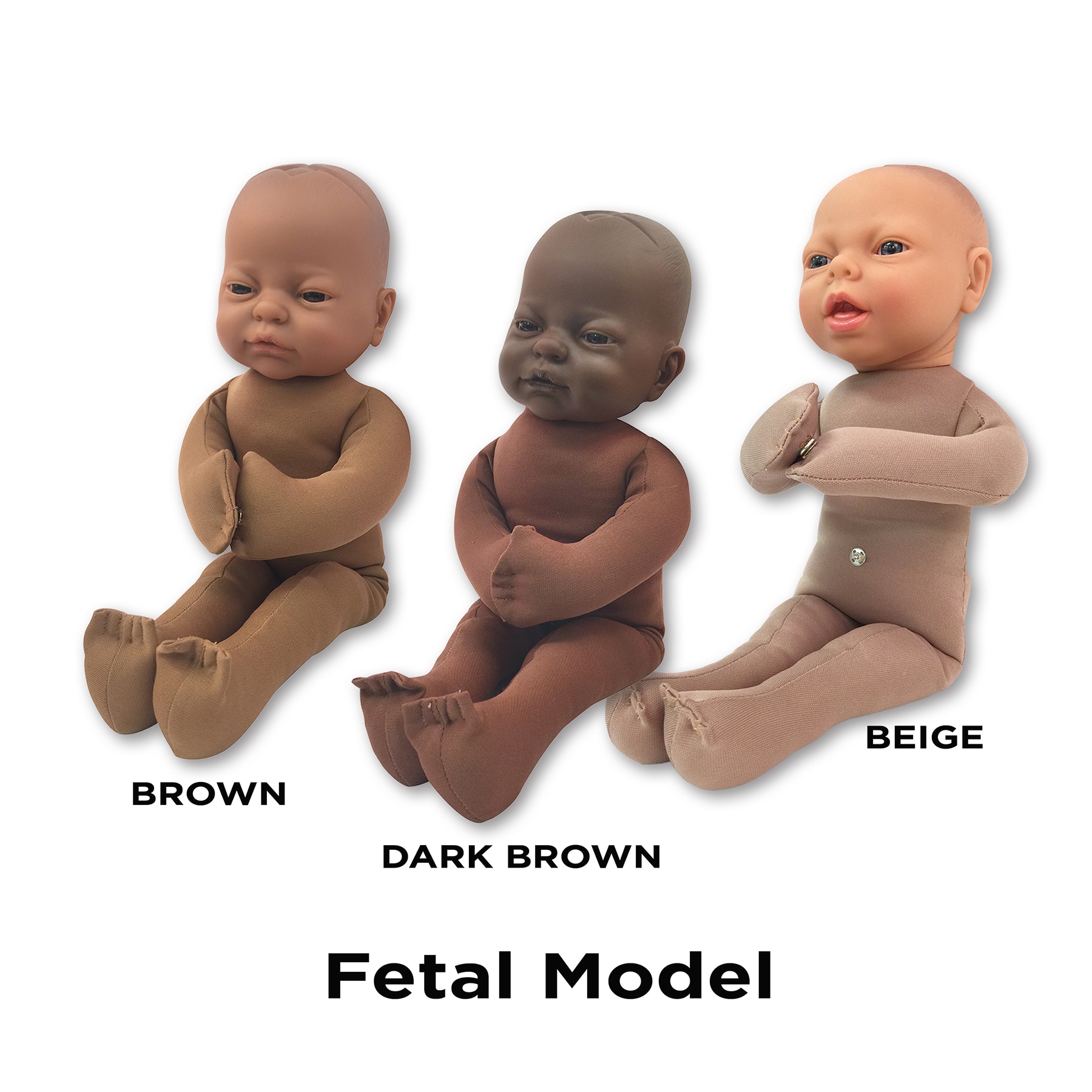 Childbirth Graphics childbirth education fetal models in beige, brown, and dark brown skin tone, 79814, 79815, 79816