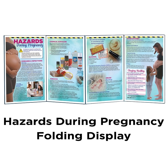 Hazards During Pregnancy Folding Display for pregnancy education, Childbirth Graphics, 79349