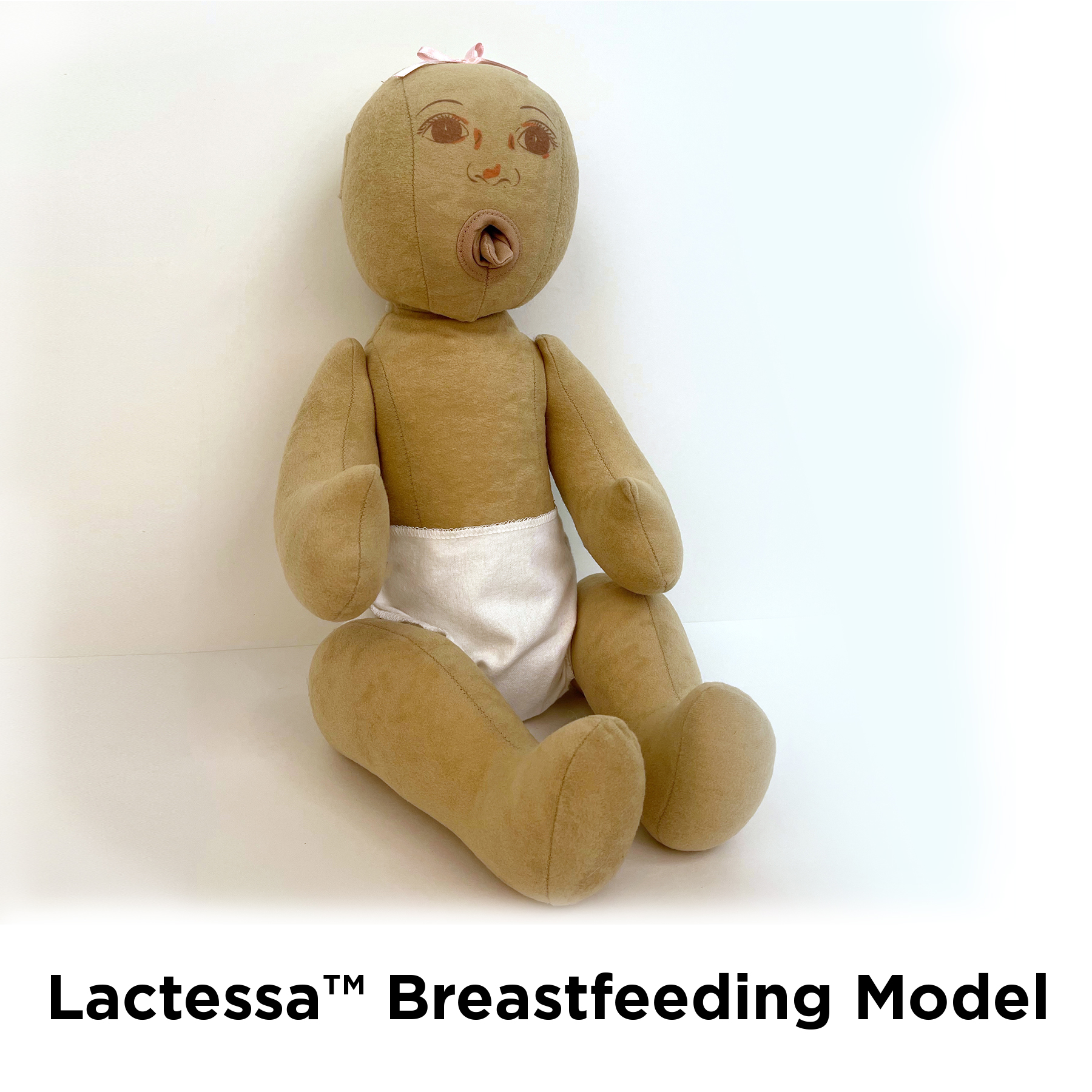 Lactessa Breastfeeding Model for lactation education and breastfeeding education, Childbirth Graphics, 79800