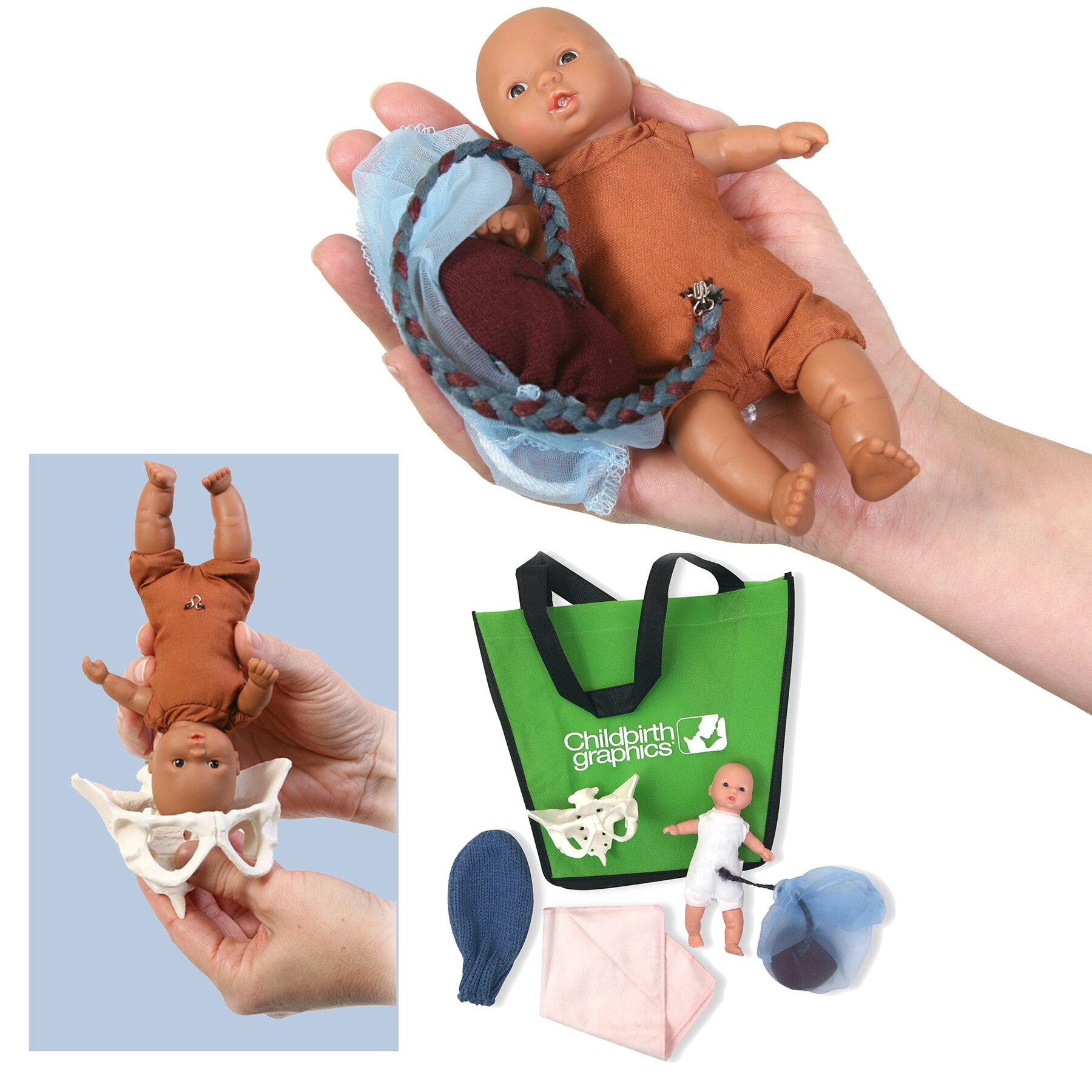 Mini-Model-Set-Pocket-Uterus-Baby-and-Pelvis for childbirth education from Childbirth Graphics