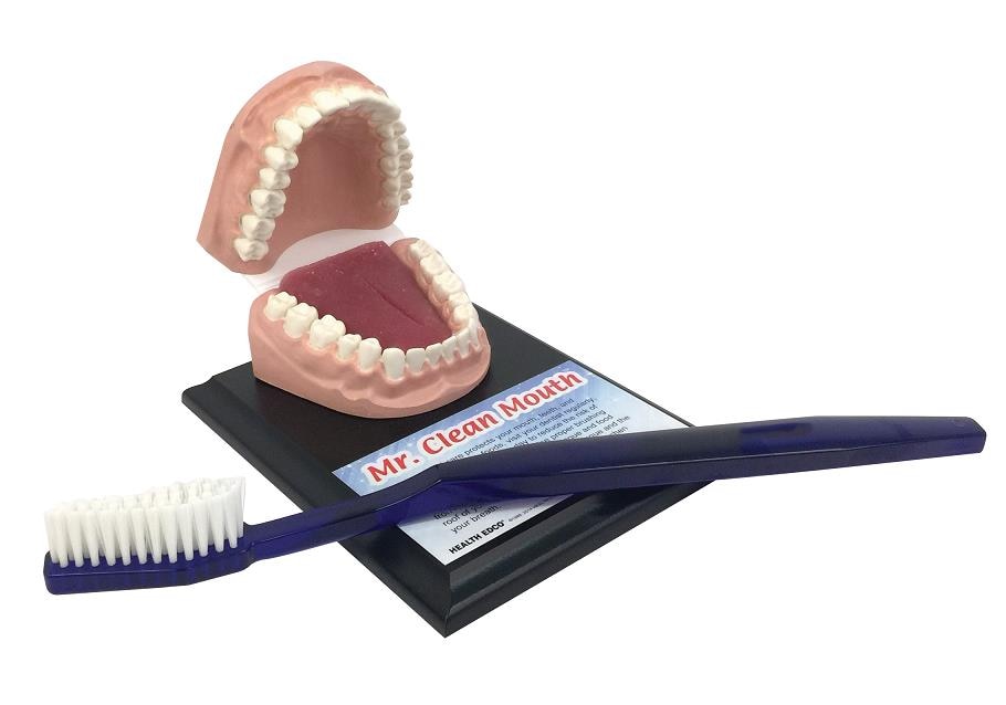 giant toothbrush