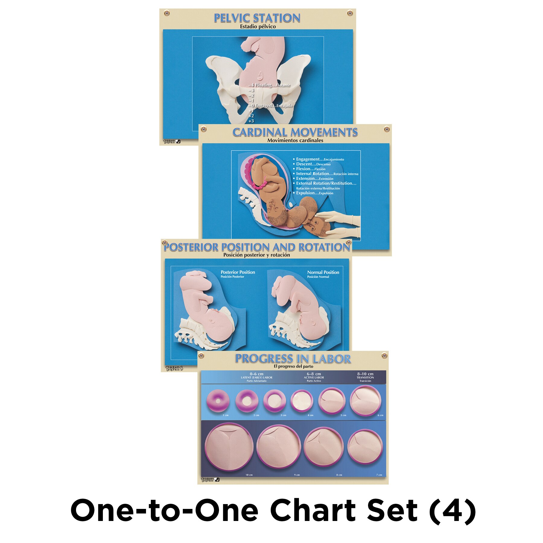 One-to-One Chart Set, 4 charts for childbirth education from Childbirth Graphics, 90629