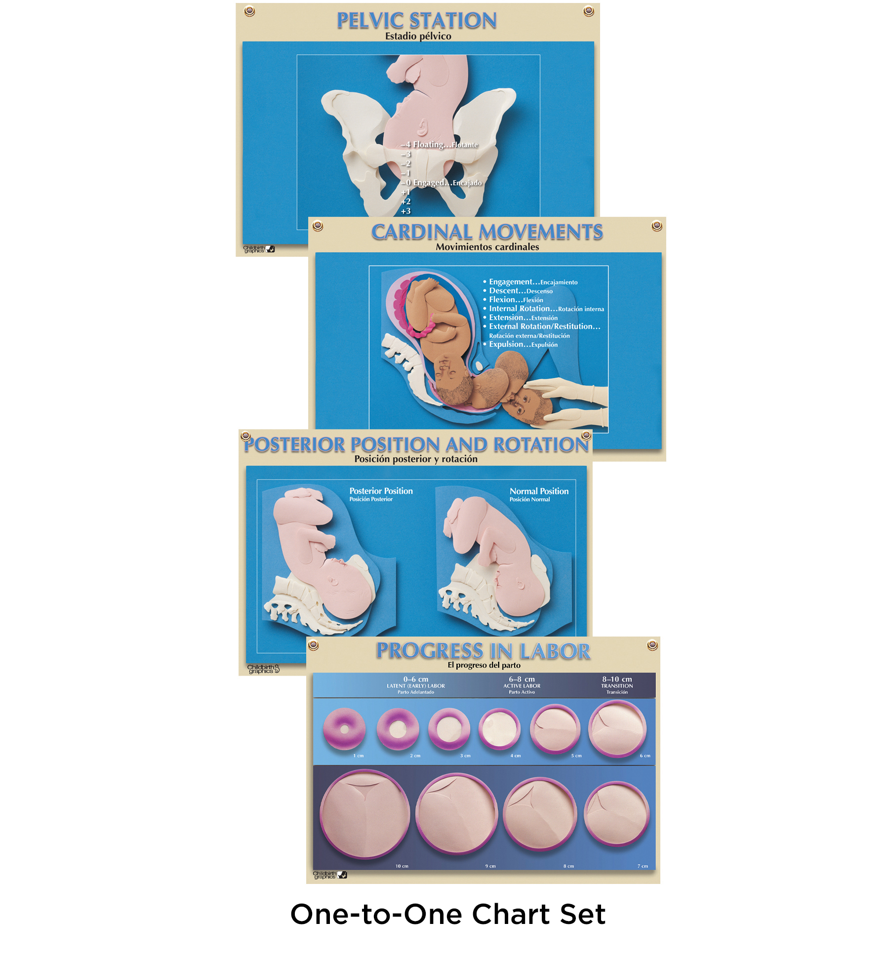 One-to-One Chart Set for childbirth education from Childbirth Graphics, 90629