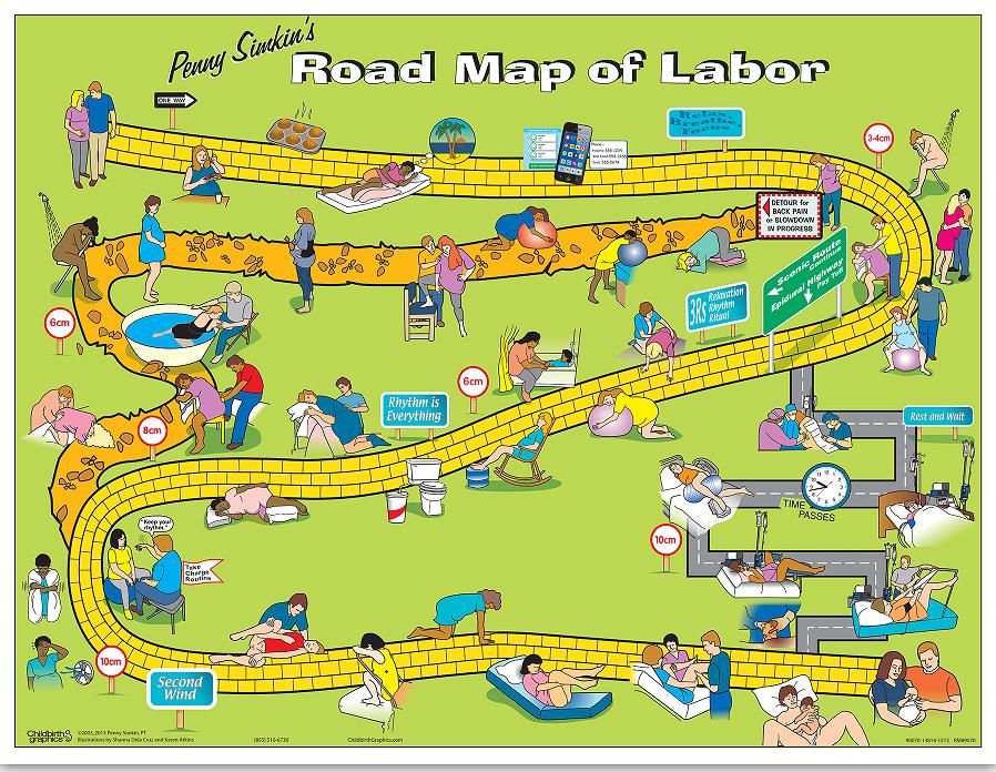 Penny Simkin’s Road Map of Labor Interactive Display from Childbirth Graphics