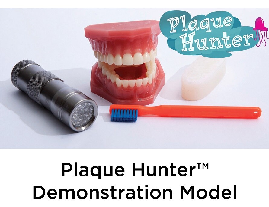 Plaque Hunter Demonstration Model from Health Edco, 78953