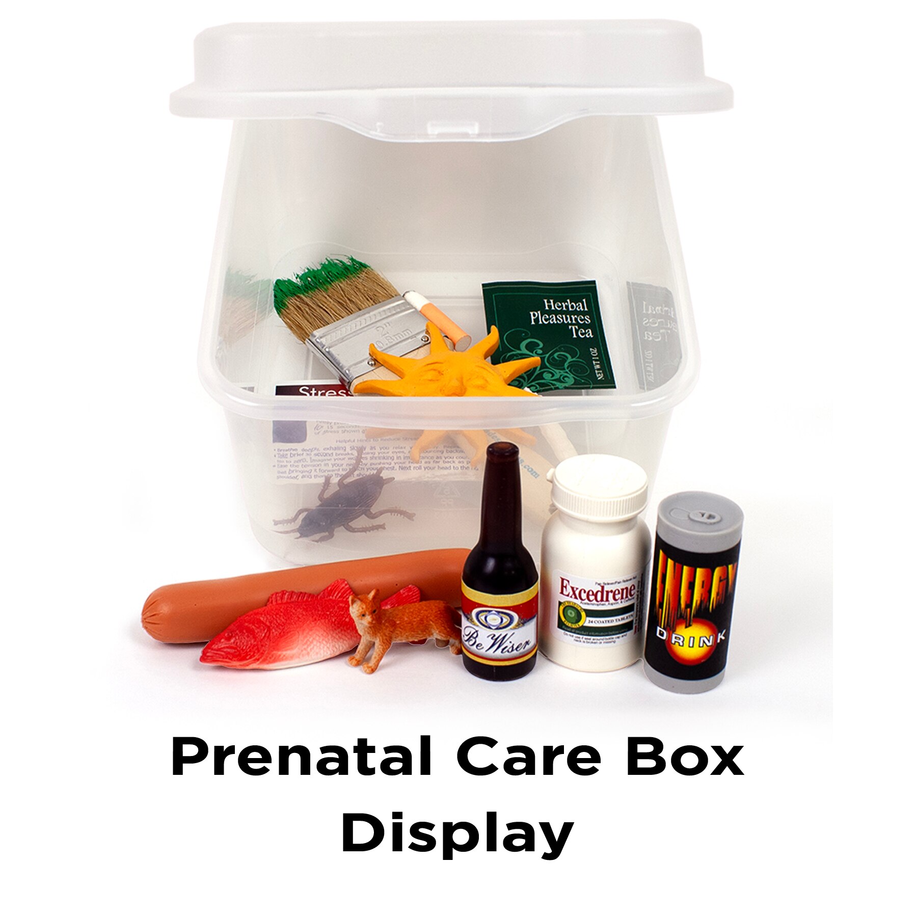 Prenatal Care Box Display for pregnancy education from Childbirth Graphics,79984