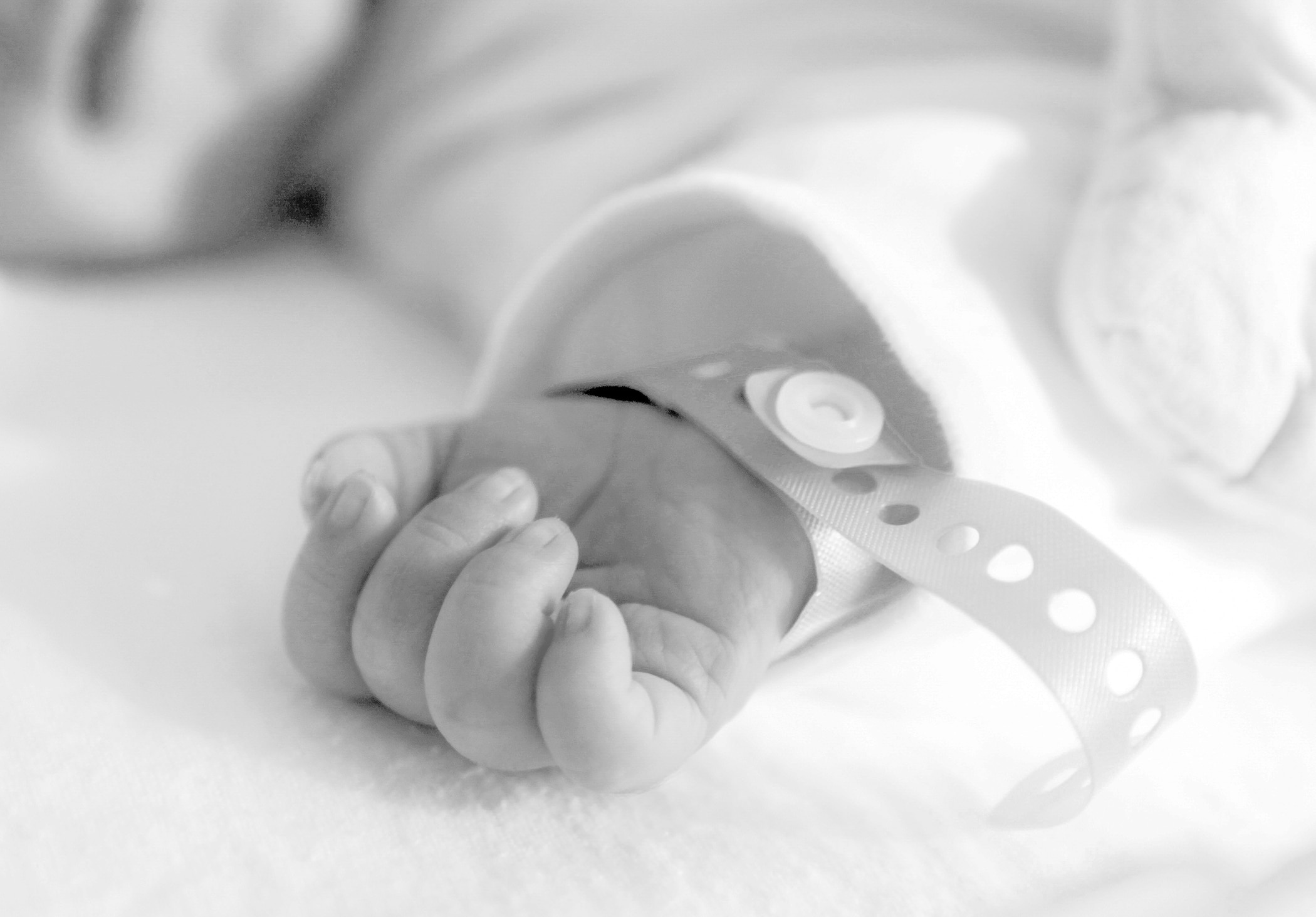 Hand of late preterm infant wearing hospital bracelet