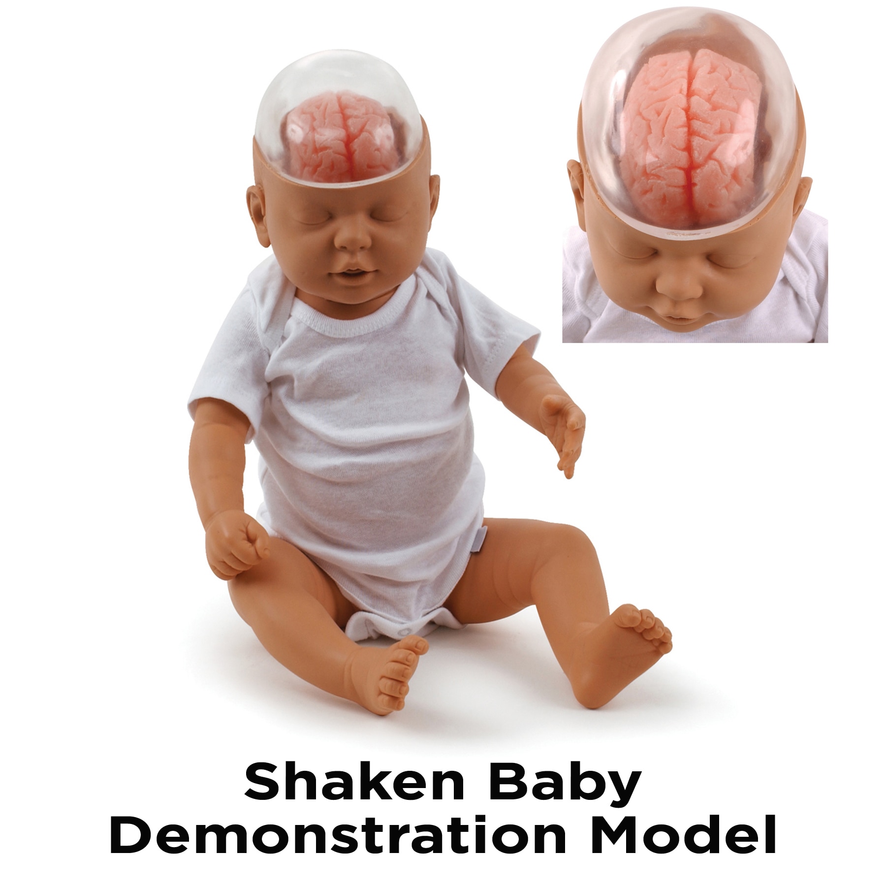 Shaken Baby Demonstration Model for parenting and infant care education, Childbirth Graphics, 53501