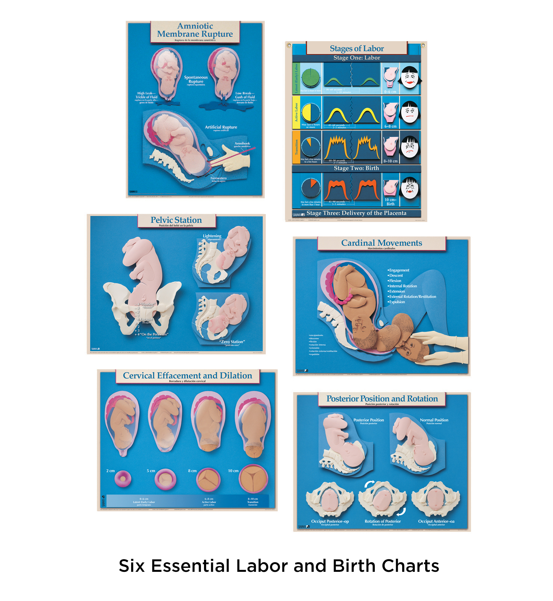 Six Essential Labor and Birth Charts for childbirth education from Childbirth Graphics, 90630