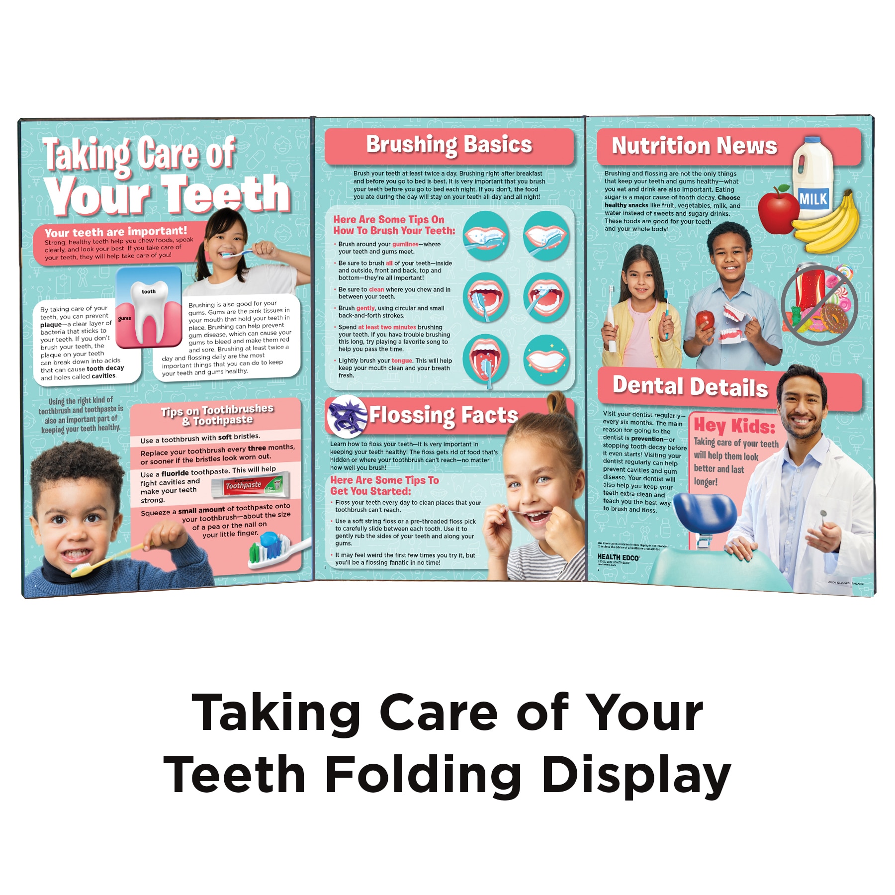 Taking Care of Your Teeth Folding Display, Kids’ Dental Health Education, Childbirth Graphics, 79004