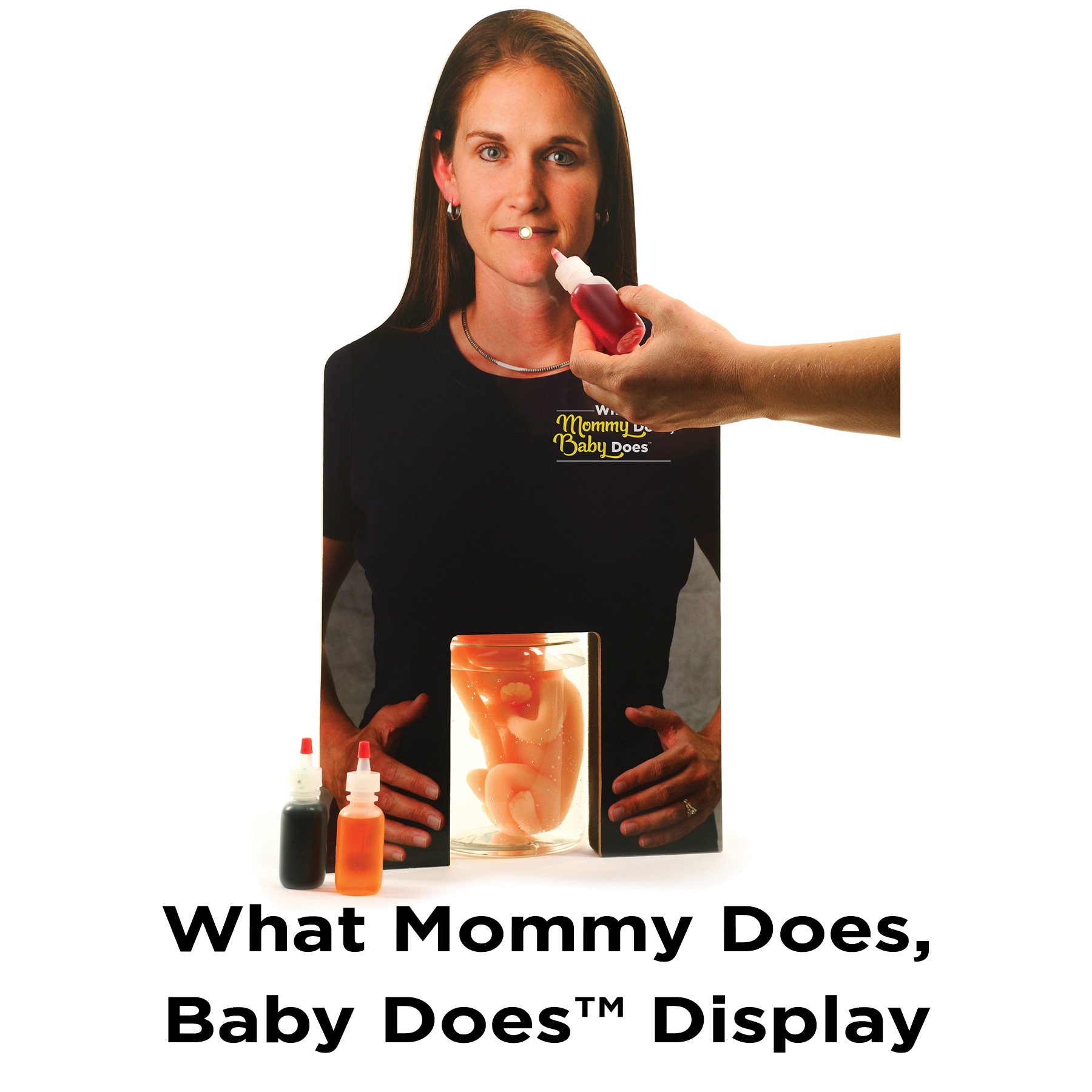 What Mommy Does, Baby Does Display, Childbirth Graphics interactive pregnancy education display, 78745