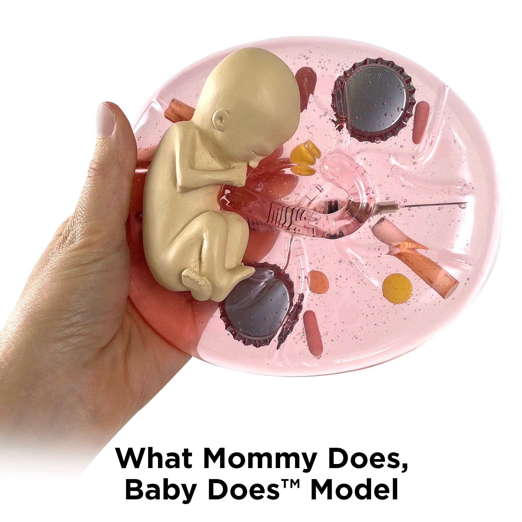What Mommy Does, Baby Does Model, Childbirth Graphics pregnancy education models to teach about pregnancy hazards, 79809