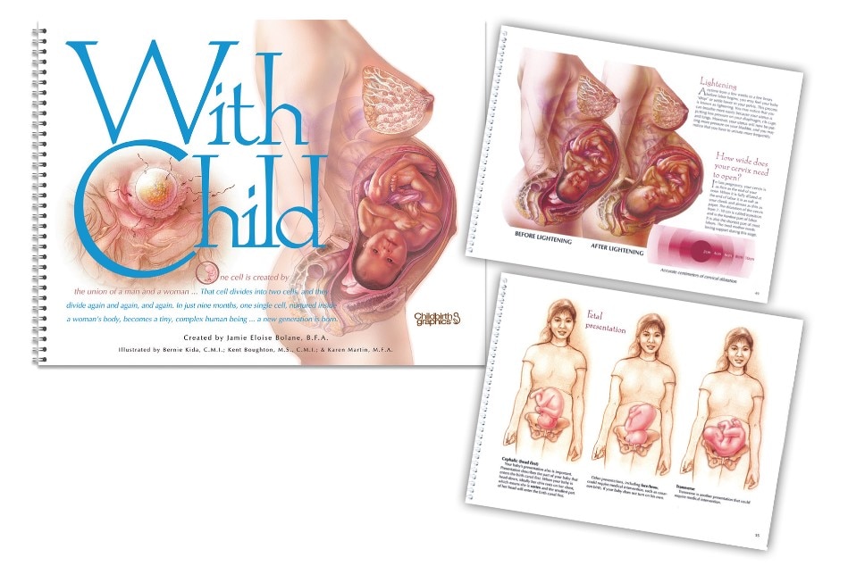 With Child Desk Version, spiral bound book for childbirth education from Childbirth Graphics