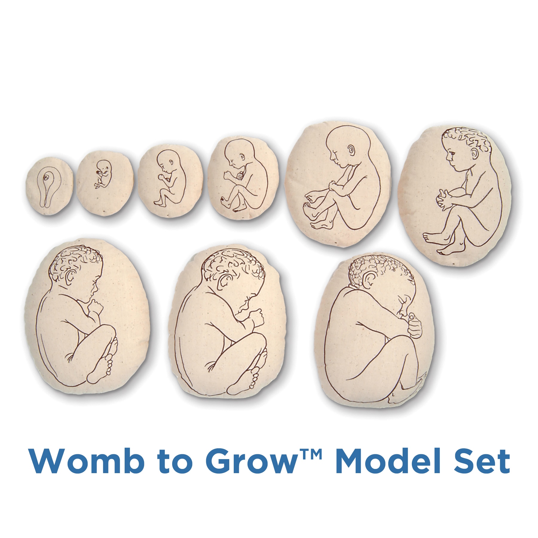 Womb to Grow Model Set, nine pillowlike childbirth education models teaching fetal development, Childbirth Graphics, 79869