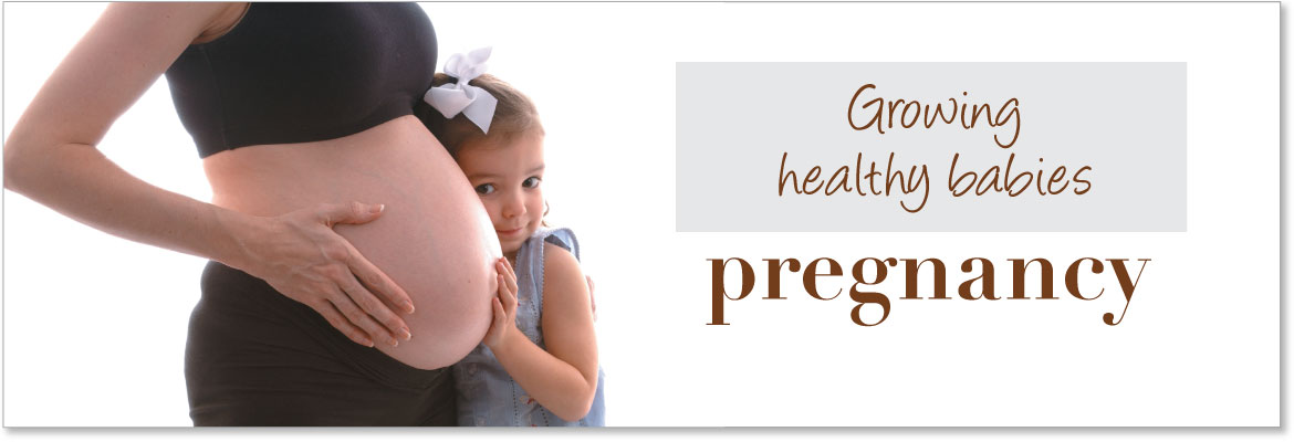 Pregnancy Education Products, Models & Displays